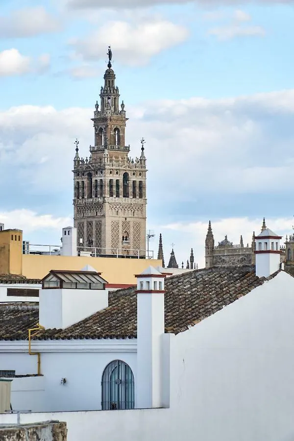 Ohliving Cathedral Daire Sevilla